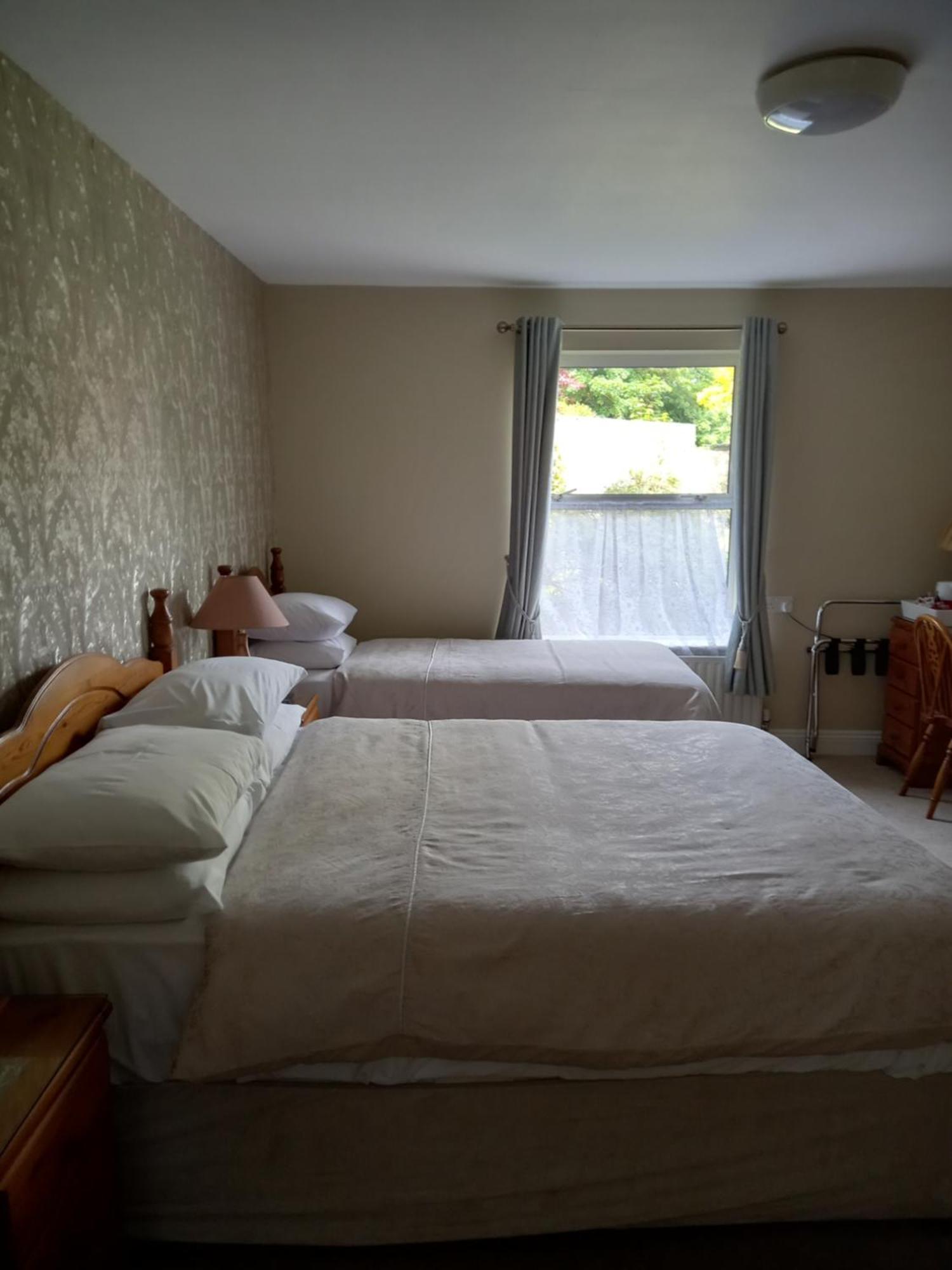 キルケニー Carraig Rua Bed & Breakfast エクステリア 写真