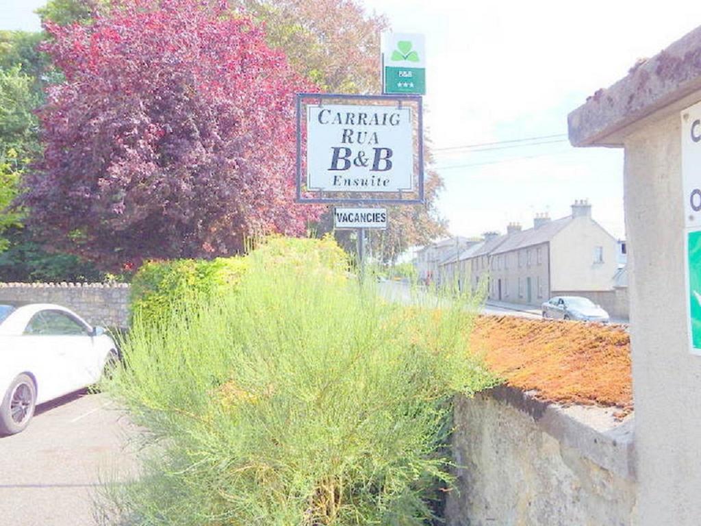 キルケニー Carraig Rua Bed & Breakfast エクステリア 写真